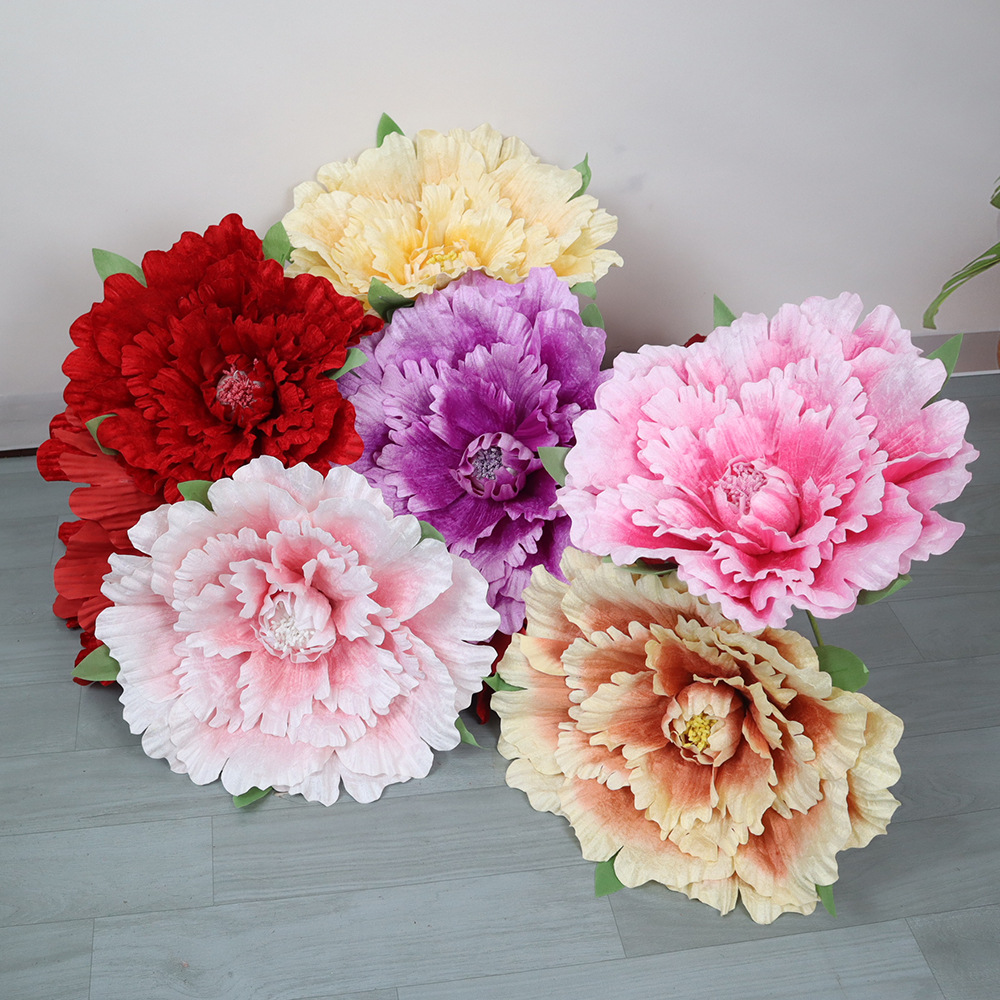 Wedding Supply Bulk - زهور الفاوانيا المخملية العملاقة بحجم 30-80